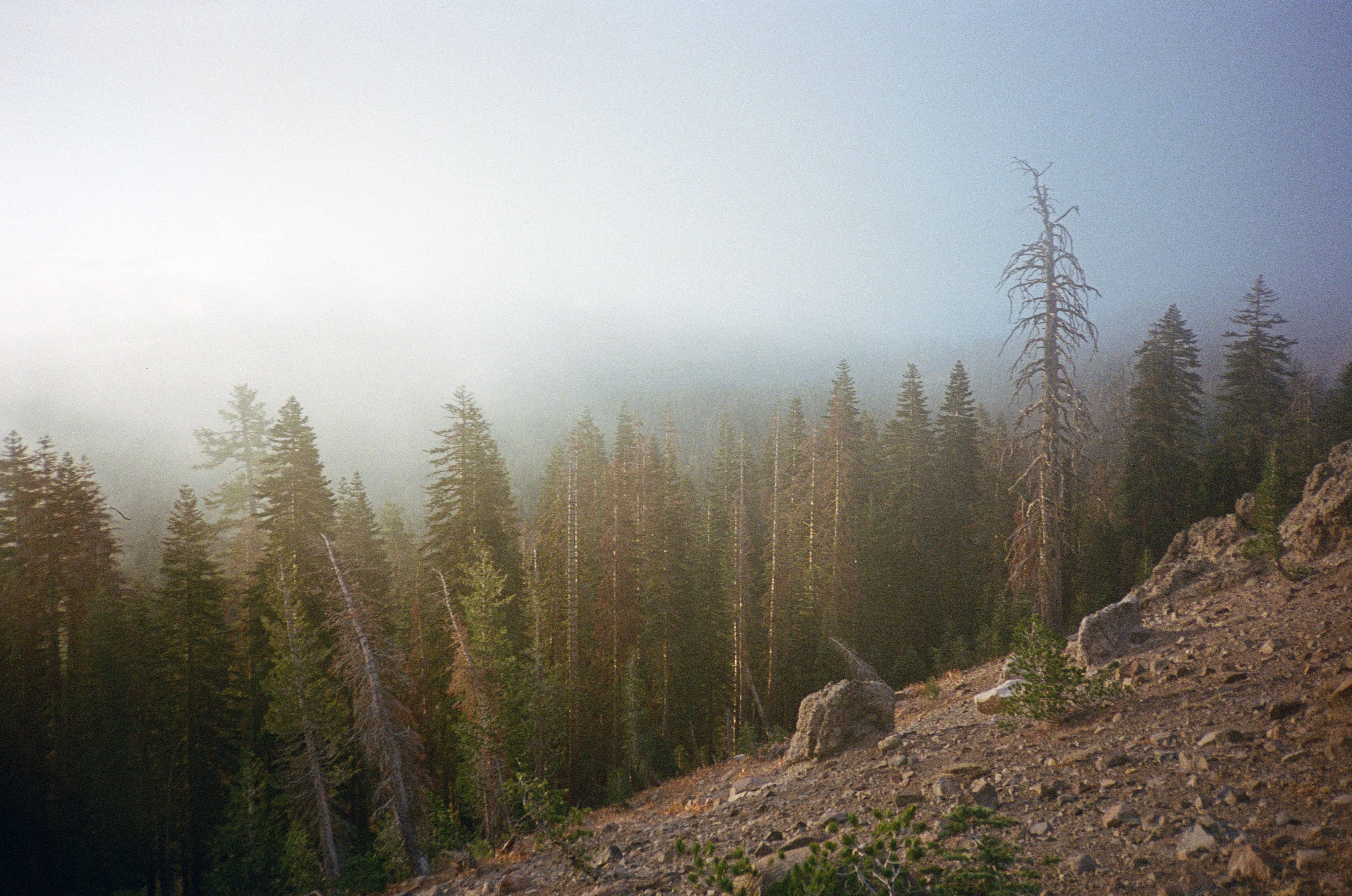 Castle Peak Trail